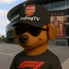 vindogtv