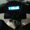 only_xand