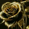 user6362509418686