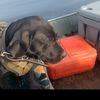 catfishingpipeliner