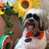 grettinaylulashihtzu