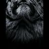 ghostlaw20122