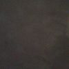 daelia6923