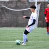 jaksic___
