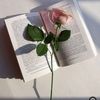 fatmah789789