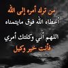 majed7il