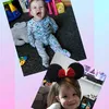 lottie433
