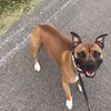 staffiesrule001