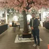 ammaralbasry1
