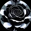 shema__2