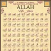 samina_khan5