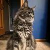 abbeyrobinson81