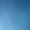 dlshad_snjawy
