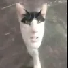 na.okq_