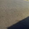 chayan_2345