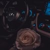 zf_319