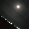 user_71326458