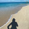 beachlife4j