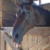 barnbums