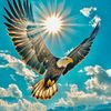 raja.shahmeer7690