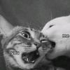 nvmbr1998
