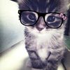 iamyinaaa0_