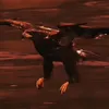 p_0dip