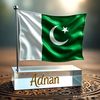 shahzain11223344
