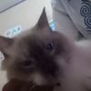 tabibito_77