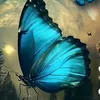 nathacldvl