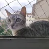 andylyma