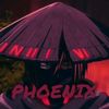 phoenixbro339