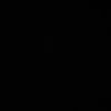 x203325