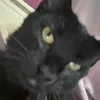 itsluciahall