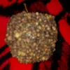 nza054