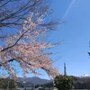 nakano_atsushi