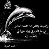 user388496388