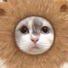 iiiiii1217