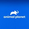 Animal Planet