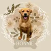 bonniethefoxredlab3