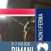 lidiadangelo0