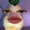 wh0ssmrs_