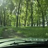 haruthakobyan817