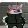your_boyzay