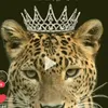 user32520536
