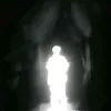.v.lx