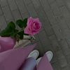 sotcha48