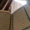 nour.eldin215