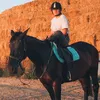 horsesblog