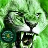 luisferreira7806